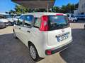 Fiat Panda 1.2 69CV Easy AUTOVETTURA Weiß - thumbnail 7