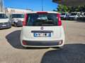 Fiat Panda 1.2 69CV Easy AUTOVETTURA Weiß - thumbnail 6