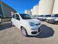 Fiat Panda 1.2 69CV Easy AUTOVETTURA Weiß - thumbnail 3