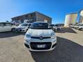 Fiat Panda 1.2 69CV Easy AUTOVETTURA Weiß - thumbnail 2