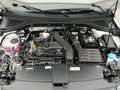 Volkswagen T-Roc R-Line 1.5 l TSI OPF 110 kW 150 PS Grau - thumbnail 7