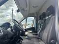 Fiat Ducato 35 2.3 MJT 130CV * PER OPERATORI DEL SETTORE * Bianco - thumbnail 10
