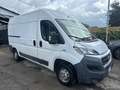 Fiat Ducato 35 2.3 MJT 130CV * PER OPERATORI DEL SETTORE * Bianco - thumbnail 3