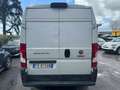 Fiat Ducato 35 2.3 MJT 130CV * PER OPERATORI DEL SETTORE * Bianco - thumbnail 5