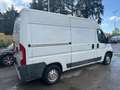 Fiat Ducato 35 2.3 MJT 130CV * PER OPERATORI DEL SETTORE * Bianco - thumbnail 7