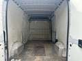 Fiat Ducato 35 2.3 MJT 130CV * PER OPERATORI DEL SETTORE * Bianco - thumbnail 6