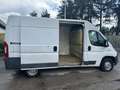 Fiat Ducato 35 2.3 MJT 130CV * PER OPERATORI DEL SETTORE * Bianco - thumbnail 8