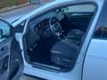Volkswagen Golf 1.6 TDI 115 CV 5p. R-LINE BlueMotion Technology Bianco - thumbnail 11