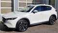 Mazda CX-5 G194 AWD Revolution Top/SD Leder weiss Aut. Weiß - thumbnail 1