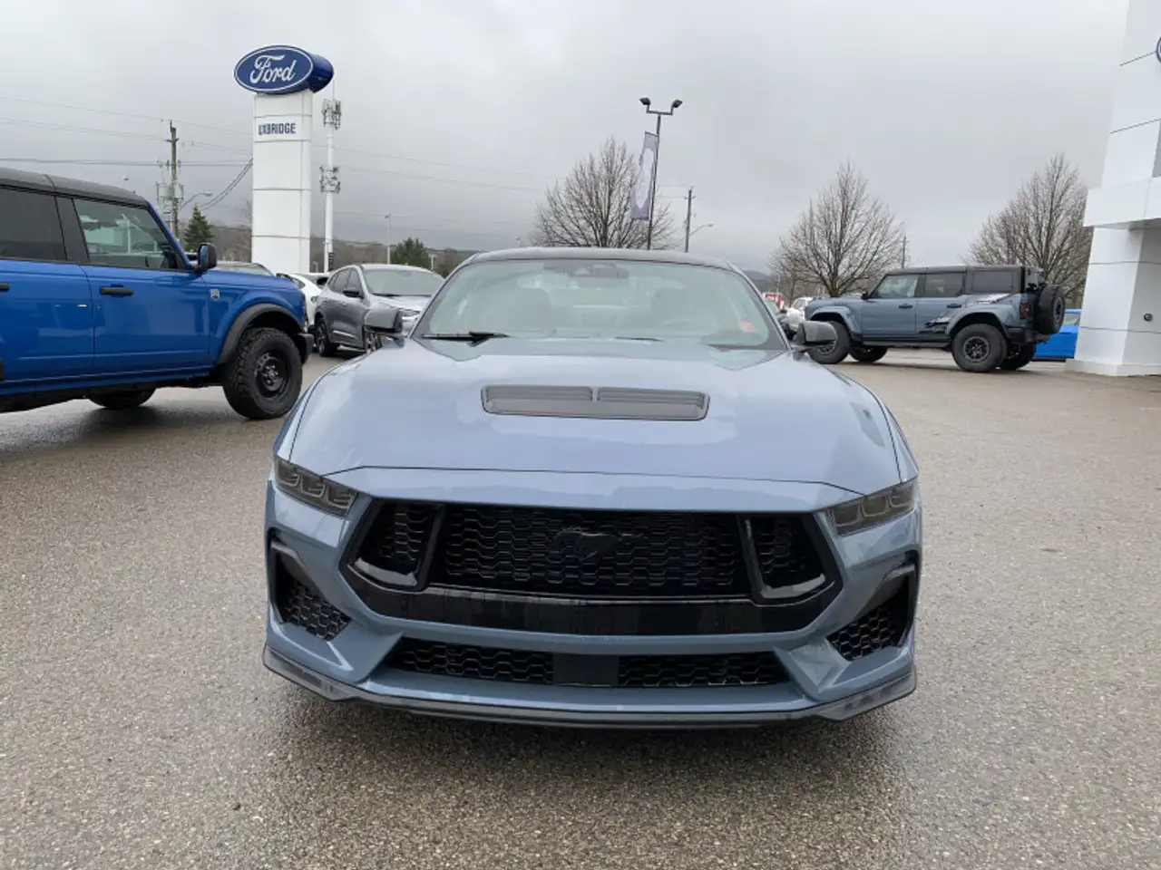 Ford Mustang снимка Ford Mustang