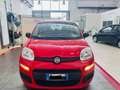 Fiat Panda 1.0 FireFly S&S Hybrid Rosso - thumbnail 3