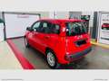 Fiat Panda 1.0 FireFly S&S Hybrid Rosso - thumbnail 15