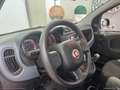 Fiat Panda 1.0 FireFly S&S Hybrid Rosso - thumbnail 19