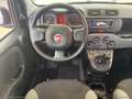 Fiat Panda 1.0 FireFly S&S Hybrid Rosso - thumbnail 12