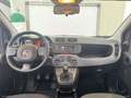Fiat Panda 1.0 FireFly S&S Hybrid Rosso - thumbnail 11