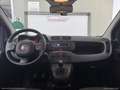Fiat Panda 1.0 FireFly S&S Hybrid Rosso - thumbnail 24