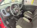 Fiat Panda 1.0 FireFly S&S Hybrid Rosso - thumbnail 7