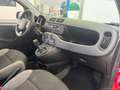 Fiat Panda 1.0 FireFly S&S Hybrid Rosso - thumbnail 8
