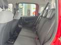 Fiat Panda 1.0 FireFly S&S Hybrid Rosso - thumbnail 22