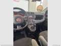 Fiat Panda 1.0 FireFly S&S Hybrid Rosso - thumbnail 26
