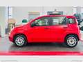 Fiat Panda 1.0 FireFly S&S Hybrid Rosso - thumbnail 2