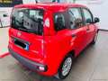 Fiat Panda 1.0 FireFly S&S Hybrid Rosso - thumbnail 5