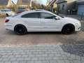 Volkswagen Passat CC Passat CC 3.6 V6 4Motion DSG Blanco - thumbnail 3