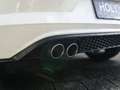 Volkswagen Polo GTI 2.0 TSI | PANO | DSG | CAM | VIRTUAL | LED | Wit - thumbnail 24