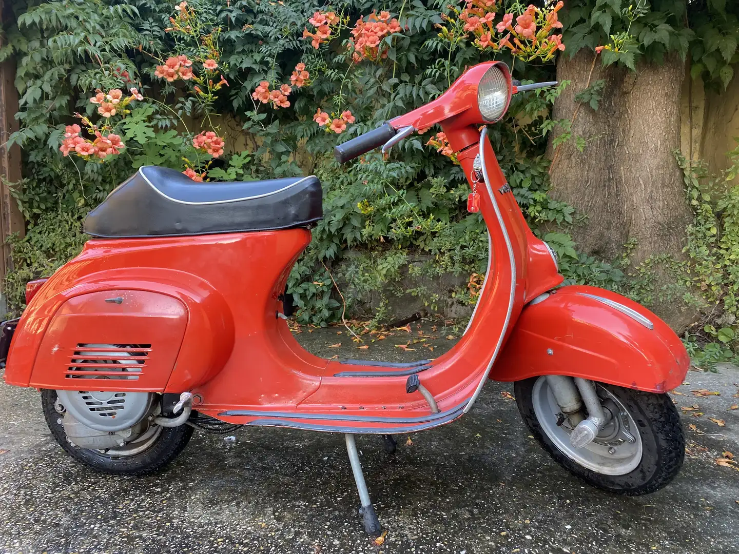 Piaggio 50 N Vespa 50 N originale - 1