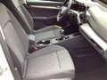 Volkswagen Golf TSI LED Pano AHK ACC SHZ App PDC Weiß - thumbnail 13
