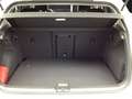 Volkswagen Golf TSI LED Pano AHK ACC SHZ App PDC Weiß - thumbnail 14