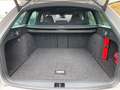 Skoda Octavia Combi RS 4x4 Pano ACC Grau - thumbnail 17