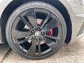 Skoda Octavia Combi RS 4x4 Pano ACC Grau - thumbnail 19