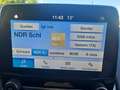 Ford EcoSport Cool & Connect, Ganzjahresreifen, Tempomat Gris - thumbnail 17