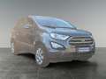 Ford EcoSport Cool & Connect, Ganzjahresreifen, Tempomat Gris - thumbnail 7