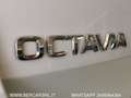 Skoda Octavia Wagon 2.0 TDI 150 CV SCR DSG Executive*TELECAMERA Bianco - thumbnail 10