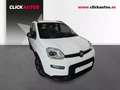 Fiat Panda 1.0 GSE 70CV City Life Hybrid Connect 4pl. Blanc - thumbnail 3