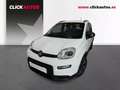 Fiat Panda 1.0 GSE 70CV City Life Hybrid Connect 4pl. Blanc - thumbnail 1