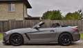 BMW Z4 S-Drive20iA M-Pack"EXCLUSIVE-FROZEN GREY-MAXTON" Gris - thumbnail 1