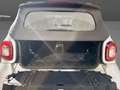 smart forTwo Cabrio 0.9 t. Passion 90cv twinamic my18 Blanco - thumbnail 19