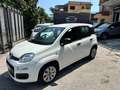 Fiat Panda Panda 1.2 Pop s Bianco - thumbnail 1