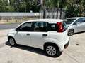 Fiat Panda Panda 1.2 Pop s Bianco - thumbnail 4