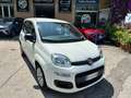 Fiat Panda Panda 1.2 Pop s Bianco - thumbnail 3
