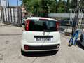 Fiat Panda Panda 1.2 Pop s Bianco - thumbnail 5