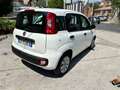 Fiat Panda Panda 1.2 Pop s Bianco - thumbnail 6