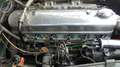Austin-Healey 100 100/6 Vert - thumbnail 7
