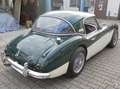 Austin-Healey 100 100/6 Vert - thumbnail 4
