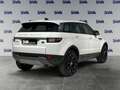 Land Rover Range Rover Evoque SE 150cv AUTOCARRO IVA ESPOSTA 100% Bianco - thumbnail 2