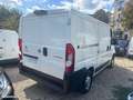Citroen Jumper l1h1 Hdi 130cv business PRIX HT 9000 ferme Weiß - thumbnail 3