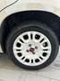Fiat Panda Panda III 2017 1.2 Easy 69cv Beige - thumbnail 7